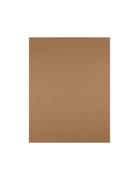 Cartulina Liderpapel 50X65 Cm 180 Gr Marron Escolar Unidad
