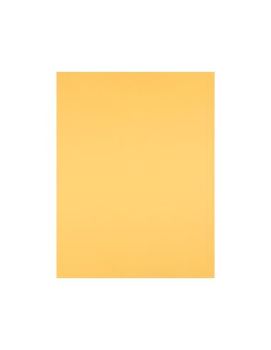 Cartulina Liderpapel 50X65 Cm 180 Gr Oro Unidad