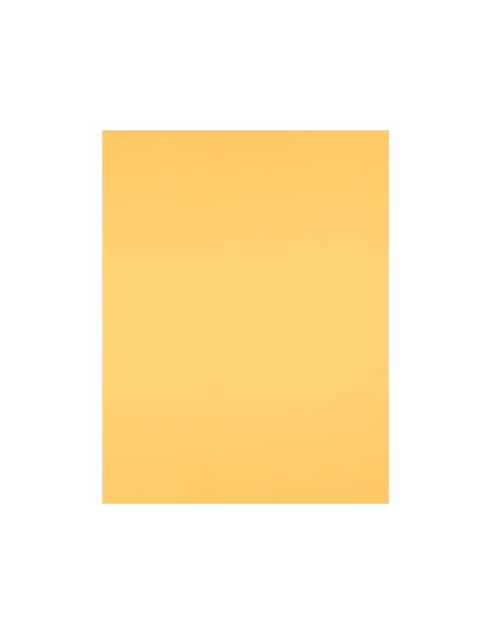 Cartulina Liderpapel 50X65 Cm 180 Gr Oro Unidad