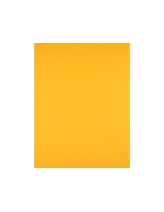 Cartulina Liderpapel 50X65 Cm 180 Gr Oro Viejo Unidad 2