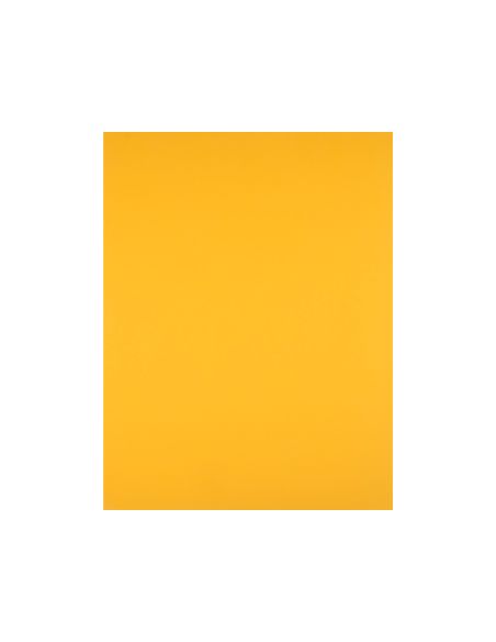 Cartulina Liderpapel 50X65 Cm 180 Gr Oro Viejo Unidad