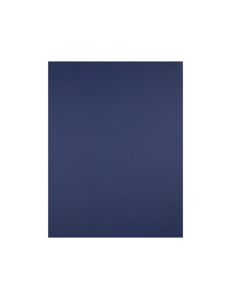 Cartulina Liderpapel 50X65 Cm 180 Gr Zafiro Unidad