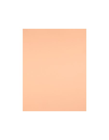 Cartulina Liderpapel 50X65 Cm 180G/M2 Sepia