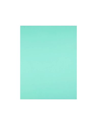 Cartulina Liderpapel 50X65 Cm 240G/M2 Verde Paquete De 25 Hojas