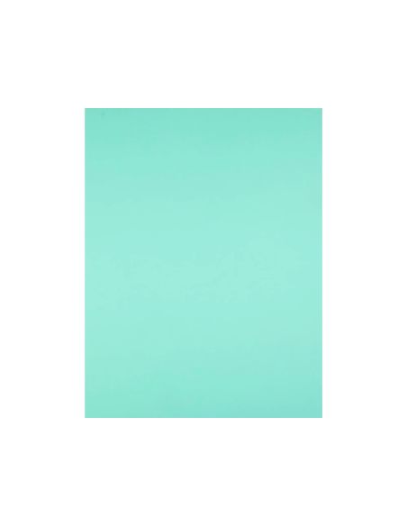 Cartulina Liderpapel 50X65 Cm 240G/M2 Verde Paquete De 25 Hojas