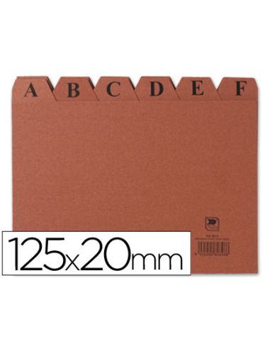 Indice Fichero Carton Nº4 125X200 Mm