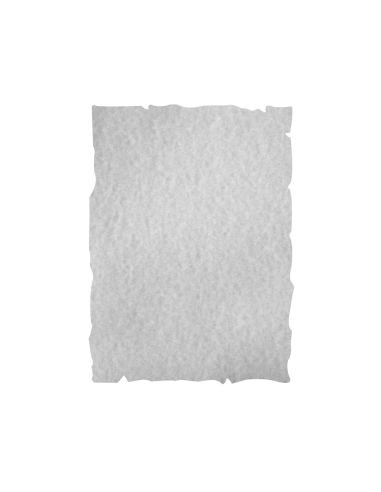 Papel Color Liderpapel Pergamino Con Bordes A4 240Gr Gris Pack De 10 Hojas