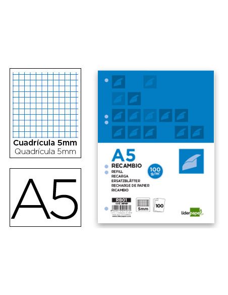 Recambio Liderpapel A5 100 H 100Gr Cuadro 5Mm Con M Argen 6 Taladros