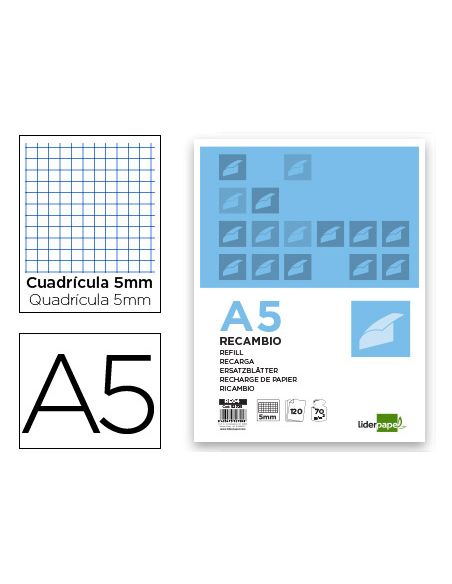 Recambio Liderpapel A5 120 Hojas 75Gr Cuadro 5Mm Sin Ma Rgen 6 Taladros Bandas De 5 Colores