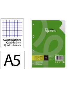 Recambio Liderpapel A5 100 Hojas 75Gr Cuadro 6Mm Con Margen 6 Taladros