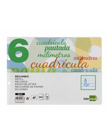Recambio Liderpapel Cuarto Apaisado Pautaguia 100 Hojas 75Gr Cuadriculado Pautado 6Mm Con Margen 2 Taladros