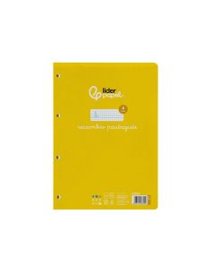 Recambio Liderpapel A4 Pautaguia 100 Hojas 75Gr Cuadriculado Pautado 4Mm Con Margen 4 Taladros 2