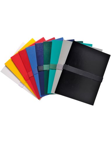 Carpeta De Proyecto Exacompta Din A4 Lomo Hasta 130 Mm Extensible Con Tira De Velcro Colores Surtidos