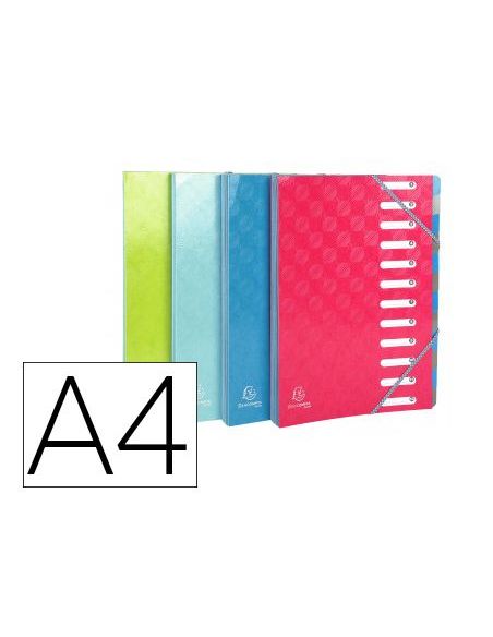 Carpeta Exacompta Harmonika Clasificadora Fuelle 12 Departamentos Con Gomas Carton Compacto Colores