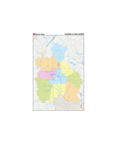 Mapa Mudo Color Din A4 Castilla-Leon Politico