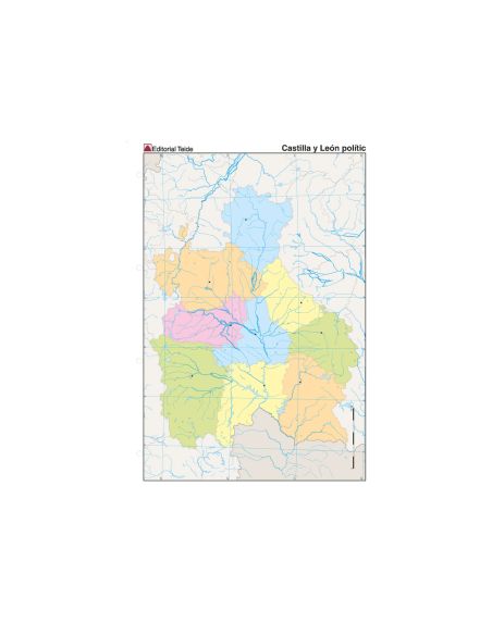 Mapa Mudo Color Din A4 Castilla-Leon Politico