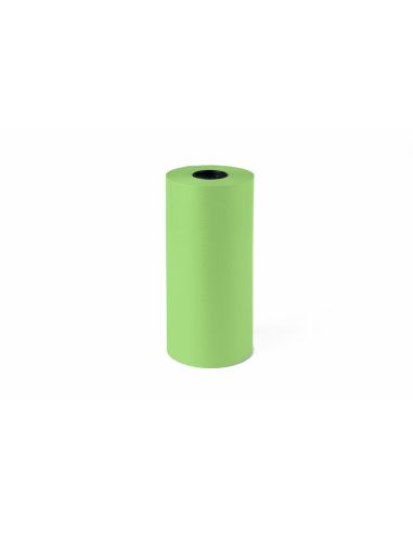Papel De Regalo Kraft Liderpapel Bobina Ancho 31 Cm Peso 3,5 Kg Gramaje 60 Gr Verde Pistacho