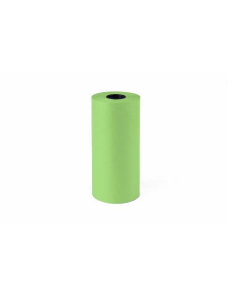 Papel De Regalo Kraft Liderpapel Bobina Ancho 31 Cm Peso 3,5 Kg Gramaje 60 Gr Verde Pistacho