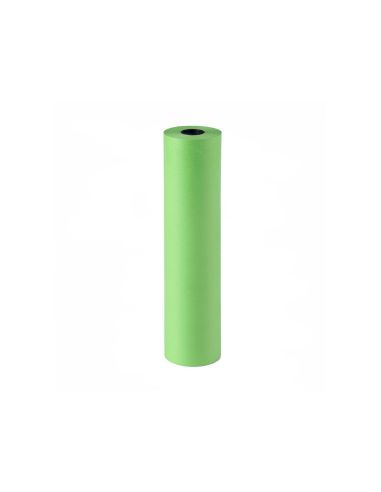 Papel De Regalo Kraft Liso Bobina Ancho 62 Cm Peso 7 Kg Gramaje 60 Gr Verde Pistacho