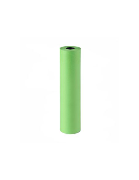 Papel De Regalo Kraft Liso Bobina Ancho 62 Cm Peso 7 Kg Gramaje 60 Gr Verde Pistacho