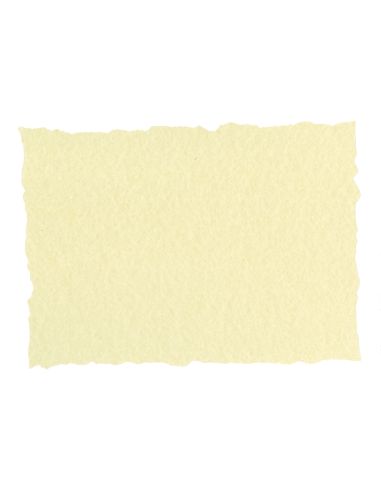Papel Pergamino Din A4 Troquelado 125 Gr Piel Elefante Color Hueso Paquete De 25 Hojas