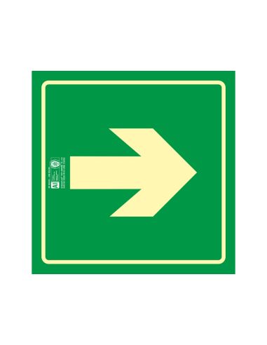 Pictograma Syssa Señal De Via De Evacuacion En Pvc Fotoluminiscente 210X210 Mm