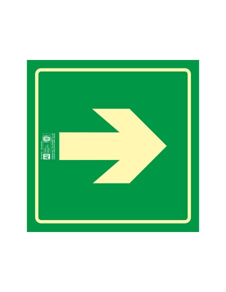 Pictograma Syssa Señal De Via De Evacuacion En Pvc Fotoluminiscente 210X210 Mm
