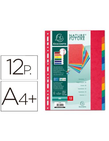 Separador Exacompta Cartulina Simil Prespan Juego De 12 Separadores Din A4+ Multitaladro Colores Vivos