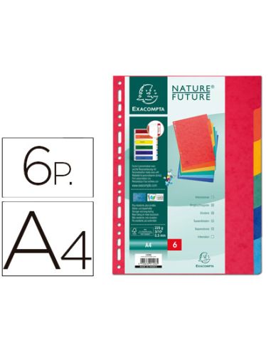 Separador Exacompta Cartulina Simil Prespan Juego De 6 Separadores Din A4 Multitaladro Colores Vivos