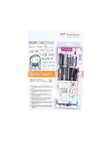 Set Caligrafia Tombow Lettering Beginner Para Principiante 6 Piezas