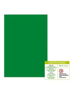 Goma Eva 60 X 40 Cm 2 Mm Modelo Liso Verde Oscuro