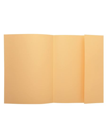 Subcarpeta Exacompta Din A4 Crema 160G/M2 Con Solapa Interior