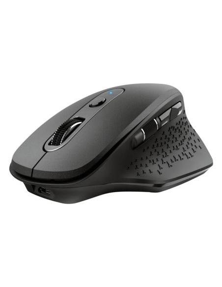 Raton Trust Ozaa Optico Inalambrico 2400Dpi 6 Botones Usb 2.0 Negro