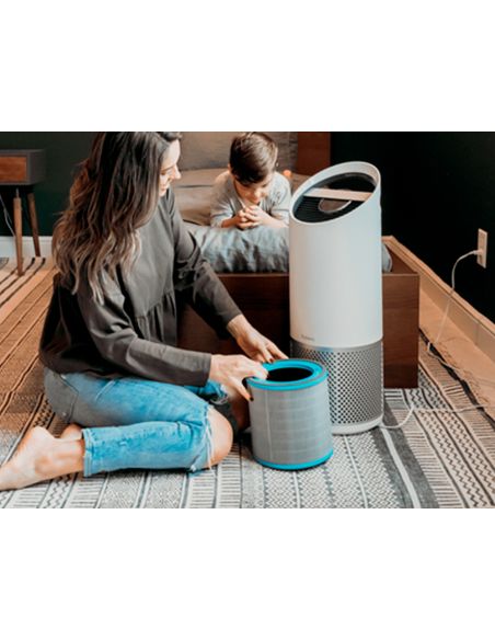 Filtro Hepa Leitz Para Purificador De Aire Grande Z-3000/Z-3500 Para Alergias Y Gripe