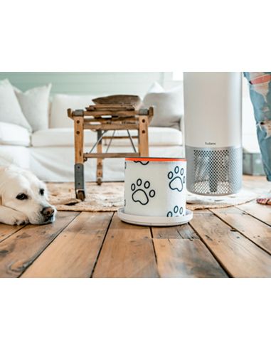 Filtro De Carbono Hepa Leitz Para Purificador De Aire Mediano Z-2000/Z-2500 Para Mascotas
