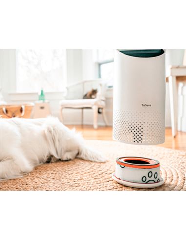 Filtro De Carbono Hepa Leitz Para Purificador De Aire Pequeño Z-1000 Para Mascotas