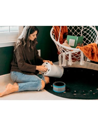 Filtro De Carbono Hepa Leitz Para Purificador De Aire Grande Z-1000 Para Alergias Y Gripe