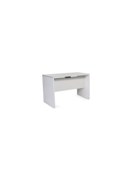 Mesa De Oficina Rocada Work 2000Ab02 Gris/Gris 120X60 Cm