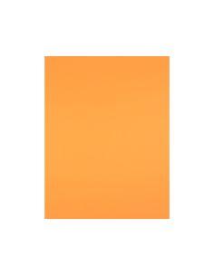 Cartulina Liderpapel 50X65 Cm 180 Gr Nectarina Unidad 2