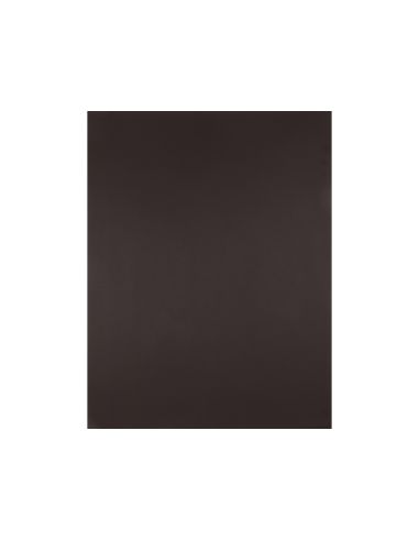 Cartulina Liderpapel 50X65 Cm 180 Gr Marron Unidad