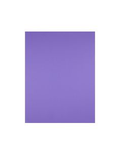 Cartulina Liderpapel 50X65 Cm 180 Gr Purpura Unidad 2
