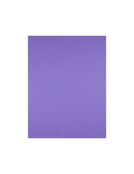 Cartulina Liderpapel 50X65 Cm 180 Gr Purpura Unidad