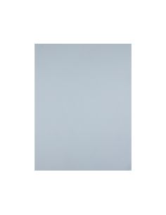 Cartulina Liderpapel 50X65 Cm 180 Gr Gris Unidad 2