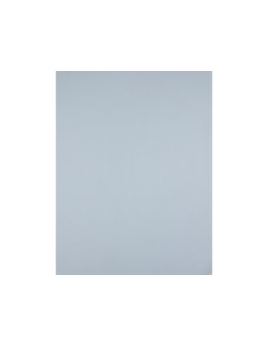 Cartulina Liderpapel 50X65 Cm 180 Gr Gris Unidad