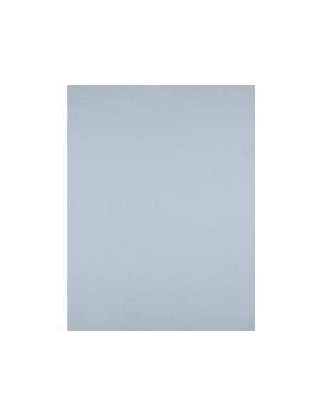 Cartulina Liderpapel 50X65 Cm 180 Gr Gris Unidad