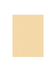 Fieltro Liderpapel 50X70Cm Color Carne 160G/M2 2