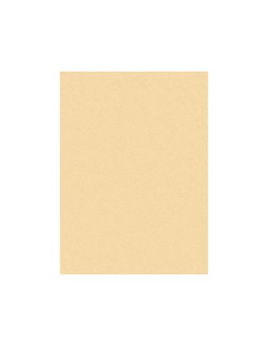 Fieltro Liderpapel 50X70Cm Color Carne 160G/M2