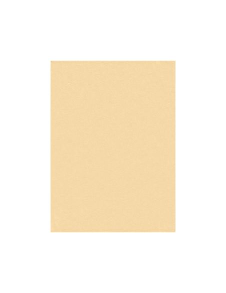 Fieltro Liderpapel 50X70Cm Color Carne 160G/M2