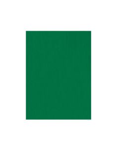 Fieltro Liderpapel 50X70Cm Verde 160G/M2 2