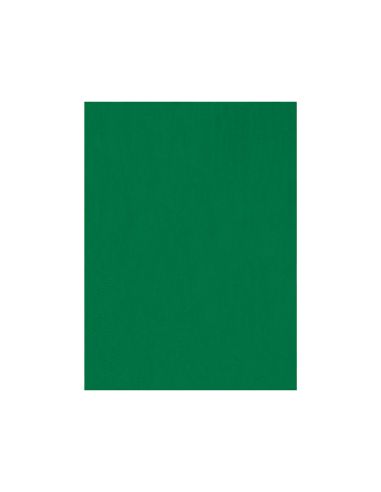 Fieltro Liderpapel 50X70Cm Verde 160G/M2